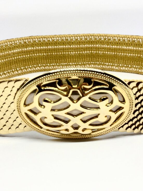 VINTAGE GOLD TONE Stretch Belt Day Lor Wide Scale Statement Disco Waist Cinch main image 13
